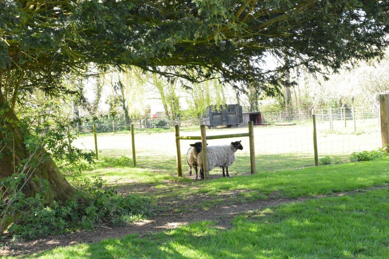 Villa Yew Tree Farm Barn, Worlingworth Extérieur photo